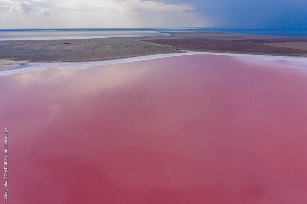 Геническое розовое озеро в Приозерном